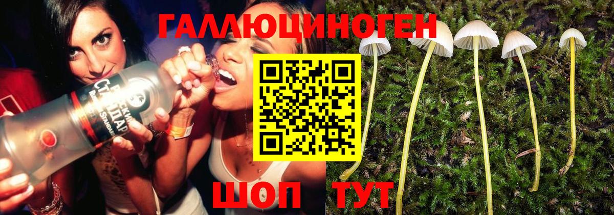 Галлюциногенные грибы Magic Shrooms Асино